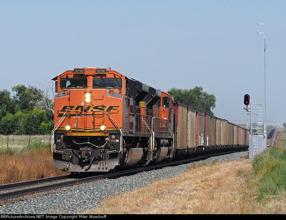 BNSF 9290